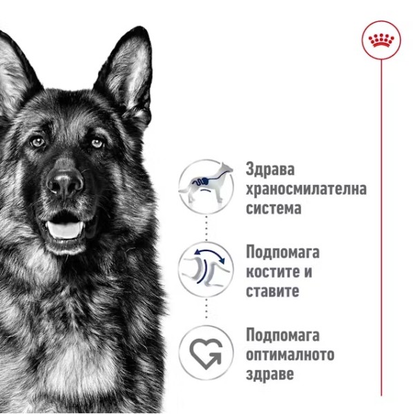 Royal Canin Dog Adult Maxi - Пълноценна суха храна за кучета от едри породи